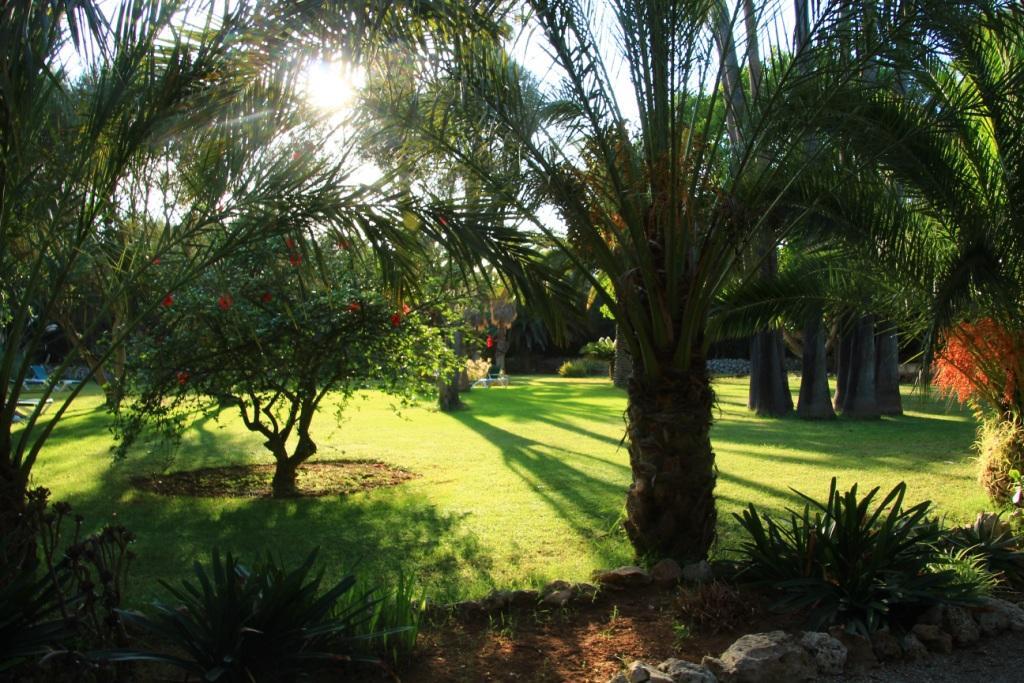 Finca Hotel Predio Son Serra Can Picafort  Exterior foto